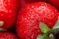 Juicy, ripe natural red strawberries without GMO. Strawberry - full frame. Close-up Royalty Free Stock Photo