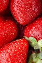 Juicy, ripe natural red strawberries without GMO. Strawberry - full frame. Close-up Royalty Free Stock Photo