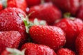 Juicy, ripe natural red strawberries without GMO. Strawberry - full frame. Close-up Royalty Free Stock Photo