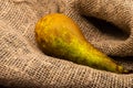 Juicy ripe pear on a background of textured fabric. Close up Royalty Free Stock Photo