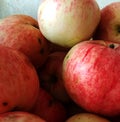 Juicy and ripe pink apples in ripe condition close-up