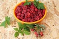 Juicy ripe raspberries and leaves on the table in a container