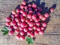 Juicy ripe red berries of a gooseberry on a wooden background. Gooseberry harvest Royalty Free Stock Photo