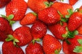 Juicy ripe red strawberries on a white background Royalty Free Stock Photo