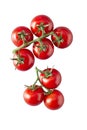 Juicy ripe red tomatoes in a bunch on the vine Royalty Free Stock Photo