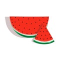 Juicy ripe, slices of watermelon. vector illustration in flat design. Vegan food. ECO product. Summer time. For design