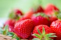 Juicy ripe strawberries in basket