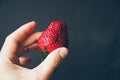 Juicy ripe strawberry in a male hand on a dark background. Royalty Free Stock Photo