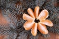 Juicy, ripe tangerine, divided into slices, is on the spruce branches