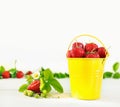 Juicy ripe tasty strawberries in  yellow metal bucket on white wooden table Royalty Free Stock Photo