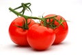 Juicy ripe tomatoes Royalty Free Stock Photo