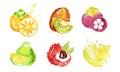 Juicy Ripe Tropical Fruit Collection, Persimmon, Mangosteen, Kiwi, Pomelo, Lychee, Carambola Watercolor Hand Painting Royalty Free Stock Photo