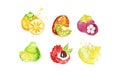 Juicy Ripe Tropical Fruit Collection, Persimmon, Mangosteen, Kiwi, Pomelo, Lychee, Carambola Watercolor Hand Painting Royalty Free Stock Photo