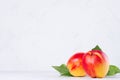 Juicy ripe whole nectarines peaches with young green leaves in soft light white wood board. Royalty Free Stock Photo