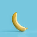 Juicy ripe yellow banana on a blue pastel background