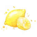 Juicy ripe yellow lemon watercolor ilustration