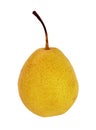 Juicy ripe yellow pear with handle close-up isolated