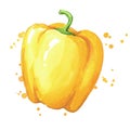 Juicy ripe yellow sweet bell pepper watercolor ilustration