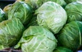 Juicy ripe young cabbage on the market for sale