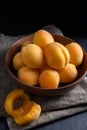 Juicy riped apricot on dark background