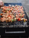 Juicy roasted kebabs