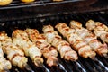 Juicy roasted kebabs on the BBQ