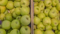 Juicy, round, hard apples with glistening green skins lay in heaps in wooden crates that were for sale.