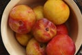 Juicy seasonal plums on the table macro Royalty Free Stock Photo