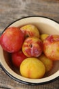 Juicy seasonal plums on the table macro Royalty Free Stock Photo