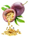 Juicy Seedly Purple Passion Fruit Pulp Falling Down From Maracuya Fruit Isolated On White Background