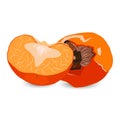 Juicy sharon fruit sliced isolated on white background vector illustration Royalty Free Stock Photo