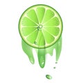 Juicy slice of lime fruit