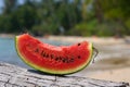 Juicy slice of watermelon Royalty Free Stock Photo