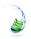 Juicy slices of aloe vera with water splash