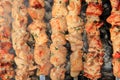 Juicy slices of meat with sauce prepare on fire Royalty Free Stock Photo