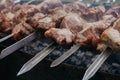 Juicy slices of meat with sauce prepare fire Royalty Free Stock Photo