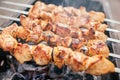 Juicy slices of meat with sauce prepare on fire shish kebab . BBQ outside. Royalty Free Stock Photo