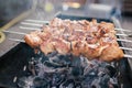 Juicy slices of meat with sauce prepare on fire shish kebab . BBQ outside. Royalty Free Stock Photo
