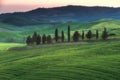 Juicy spring in the fields of Tuscany.