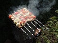 Juicy, steaming barbecue in nature.