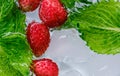 juicy strawberry berries and green mint leaves in ice water close-up top view Royalty Free Stock Photo