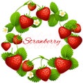 Juicy strawberry vector frame wreath. Health dessert eating strawberries background