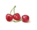 Watercolor illustration of a cherry