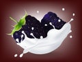 Juicy sweet blackberry in milk splash.