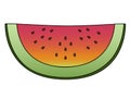 Juicy, sweet red slice of watermelon. Sliced watermelon with pits and green peel. A semicircular slice of watermelon - vector full