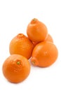 Juicy tangerine