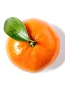 Juicy tangerine with leaves close up top view