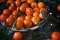 juicy tangerines on the table, delicious background, festive table for Christmas, fir branches, vitamins for health