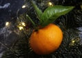 juicy tangerines on the table, delicious background, festive table for Christmas, fir branches, vitamins for health