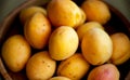 Juicy tasty apricots on a wooden plate, soft focus